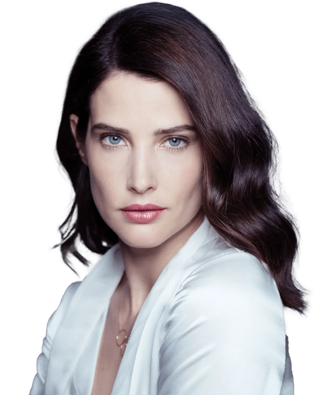 Cobie Smulders